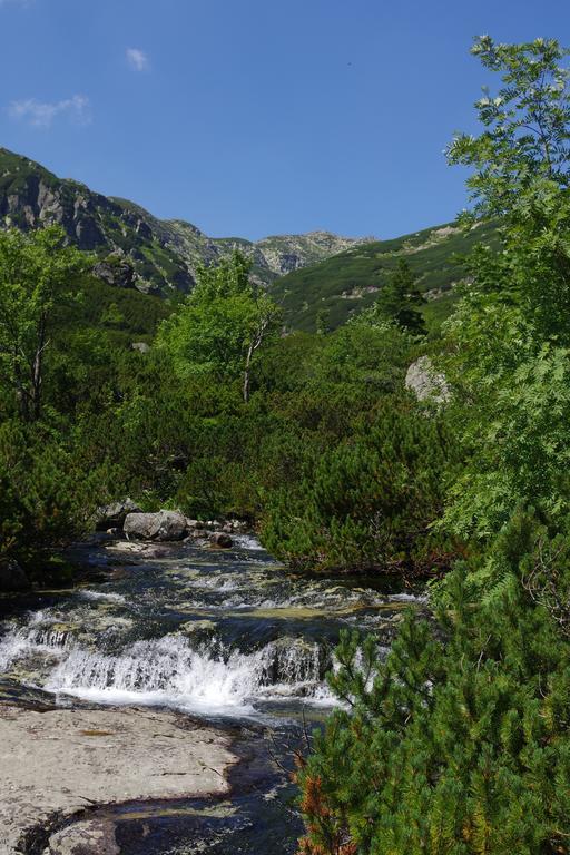 Studio Livia Vysoké Tatry Esterno foto