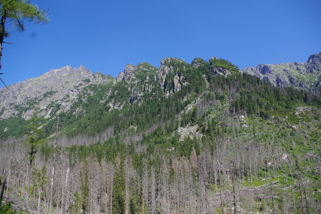 Appartamento Studio Livia Vysoké Tatry Esterno foto